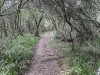 20221103-21_suedafrika_kapstadt_gardenroute_mk1333
