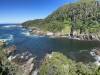 20221103-21_suedafrika_kapstadt_gardenroute_mk1657