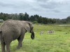 20221103-21_suedafrika_kapstadt_gardenroute_mk1905
