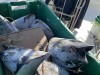 20221103-21_suedafrika_kapstadt_gardenroute_mk2206