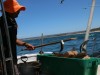 20221103-21_suedafrika_kapstadt_gardenroute_mk2223