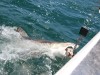 20221103-21_suedafrika_kapstadt_gardenroute_mk2229