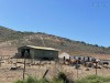 20221103-21_suedafrika_kapstadt_gardenroute_mk2427