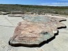 20221103-21_suedafrika_kapstadt_gardenroute_mk2569