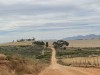 20221103-21_suedafrika_kapstadt_gardenroute_mk2651