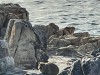 20221103-21_suedafrika_kapstadt_gardenroute_mk2797