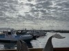 20221103-21_suedafrika_kapstadt_gardenroute_mk2823