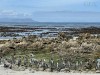 20221103-21_suedafrika_kapstadt_gardenroute_mk2837