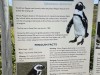 20221103-21_suedafrika_kapstadt_gardenroute_mk2850