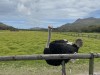 20221103-21_suedafrika_kapstadt_gardenroute_mk3117