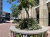 20221103-21_suedafrika_kapstadt_gardenroute_mk3680