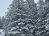 20240119-22_skiing_soell_wilderkaiser_kitzbuehel_mk038
