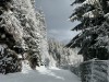 20240119-22_skiing_soell_wilderkaiser_kitzbuehel_mk052