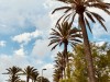 20240524-29_mallorca_mk337