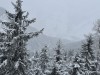 20250214-18_skiing_saalbach_WM_mk014