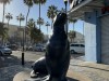 20250316-24_mexiko_baja_california_sur_mk0128