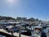 20250316-24_mexiko_baja_california_sur_mk0134