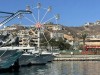 20250316-24_mexiko_baja_california_sur_mk0139