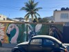 20250316-24_mexiko_baja_california_sur_mk0257