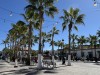 20250316-24_mexiko_baja_california_sur_mk0353