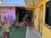 20250316-24_mexiko_baja_california_sur_mk0392