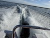 20250316-24_mexiko_baja_california_sur_mk0420