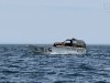 20250316-24_mexiko_baja_california_sur_mk0493