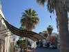 20250316-24_mexiko_baja_california_sur_mk0779
