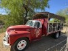 20250316-24_mexiko_baja_california_sur_mk0796