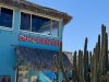 20250316-24_mexiko_baja_california_sur_mk0818