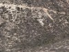 20250316-24_mexiko_baja_california_sur_mk0891