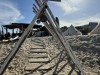 20250316-24_mexiko_baja_california_sur_mk0922