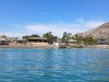 20250316-24_mexiko_baja_california_sur_mk0946