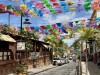 20250316-24_mexiko_baja_california_sur_mk0991