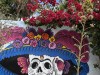 20250316-24_mexiko_baja_california_sur_mk1001