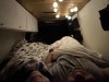20250610-15_koeln_renissee_holland_mk035