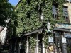 20250610-15_koeln_renissee_holland_mk039