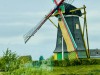 20250610-15_koeln_renissee_holland_mk344