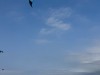 20250610-15_koeln_renissee_holland_mk356