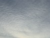 20250610-15_koeln_renissee_holland_mk364
