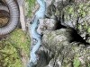 20250619-22_st_johann_pongau_mk043