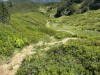 20250619-22_st_johann_pongau_mk235