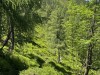 20250619-22_st_johann_pongau_mk237