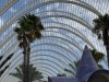 20250731-0803_valencia_mk239