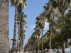 20250731-0803_valencia_mk326