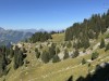 20250816-20_schweiz_rheinfall_jungfrauregion_mk198