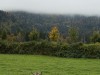 20251010-14_oberstdorf_mk196