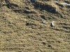 20251010-14_oberstdorf_mk412