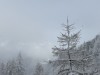 20251122-24_skiing_soelden_mk059